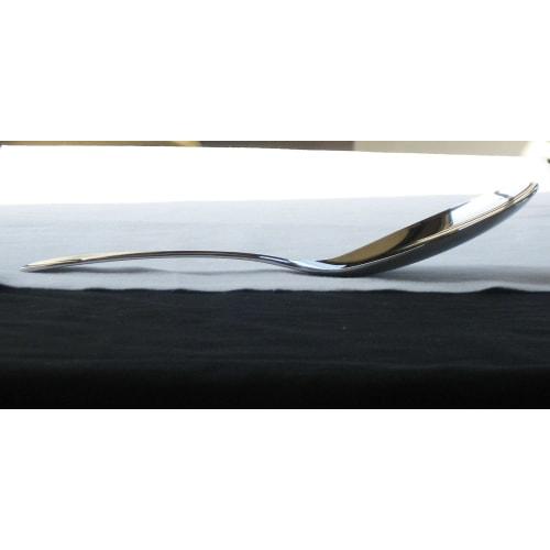 Nagao Tsubame-Sanjo Serving Spoon, 24.5cm, 18-8 Stainless Steel, Made In Japan