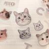3 Piece Lovely Cat Sticker Real Shot Kawaii Cat Stationery Sticker DIY Decorative Scrapbook Cat Sticker Cute Student Supplies