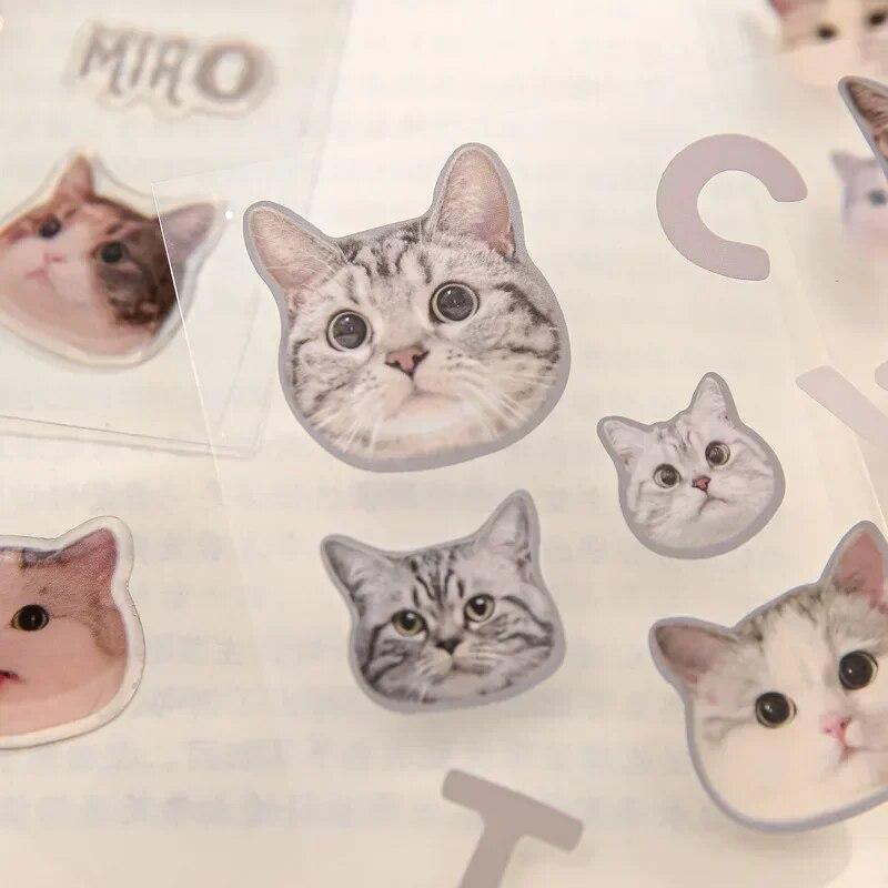 3 Piece Lovely Cat Sticker Real Shot Kawaii Cat Stationery Sticker DIY Decorative Scrapbook Cat Sticker Cute Student Supplies