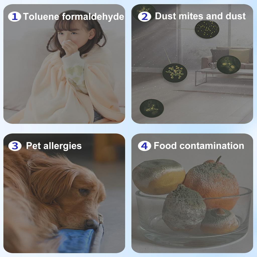 Indoor Purification Removal Box,Plant-Based Multi-Functional Freshener For Bedrooms, Closets & Pet Areas –  Easy Placement & Long-Lasting Freshness