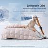 Mercury Home Textiles Floral Rhyme Anti-mite 95% White Goose Down Duvet
