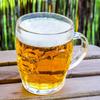 Large Glass Beer Mug with Thick Glass Handle 500 Ml 0.5L