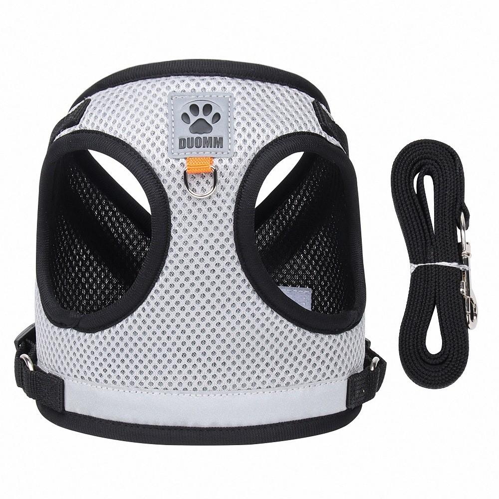 Dog Harness Collar With Durable Polyester For Outdoor Training And Active Pets