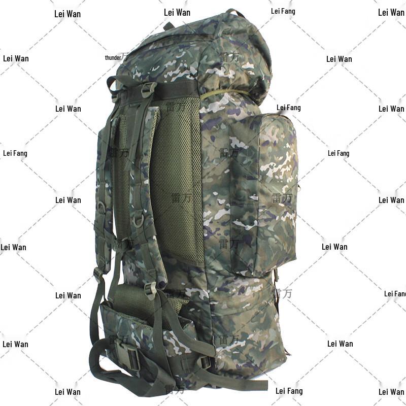 Rayvan Large Capacity Hiking & Tactical Backpack