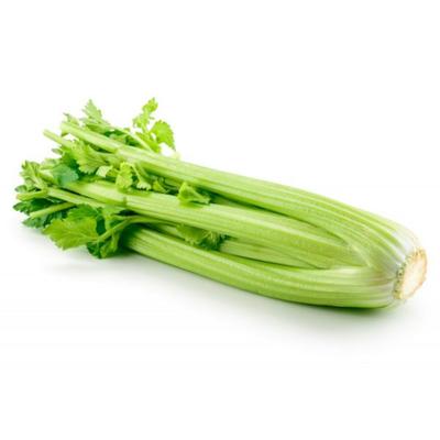 250 Branch Celery Seeds - Vegetable Garden - Peasant Seed