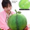 Soft And Cuddly Watermelon Plush Pillow Blanket For Office Nap