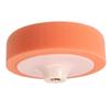 Polishing Sponge M14 Backing Plate Orange Polishing