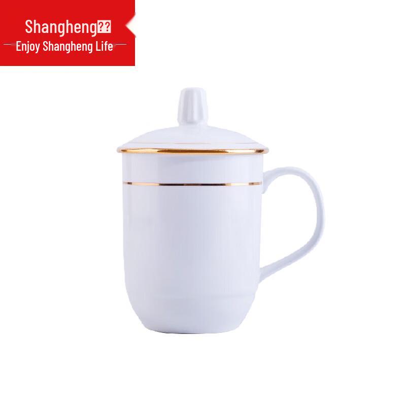 

Shangheng 500ml Glass Business Meeting Mug with Lid