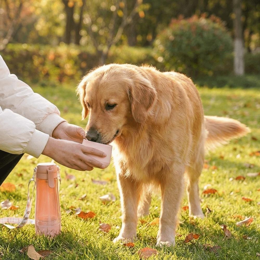 Large Capacity Portable Dog Water Bottle Foldable Pet Travel Bottle Pet Drinking Bowl  Dog Walking