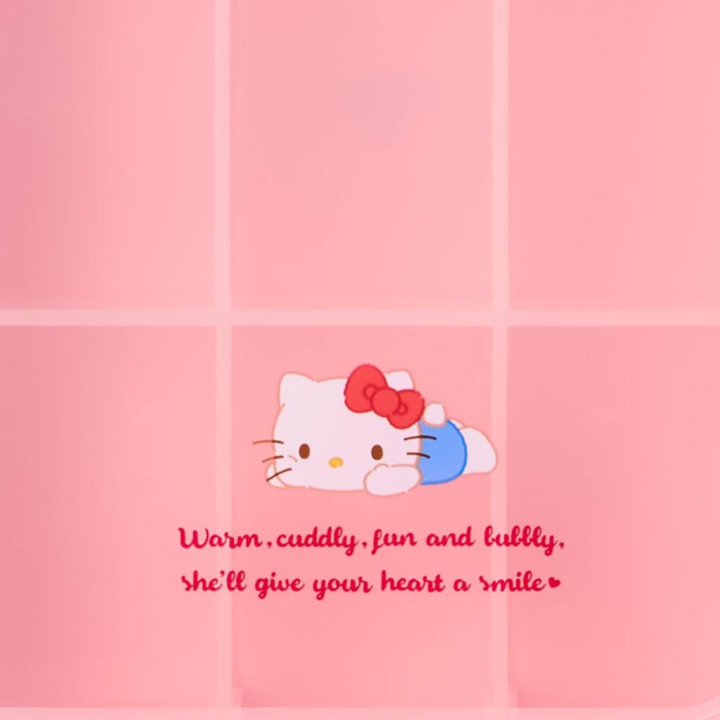 Sanrio Storage Case S Hello Kitty 646008 Book-Shaped
