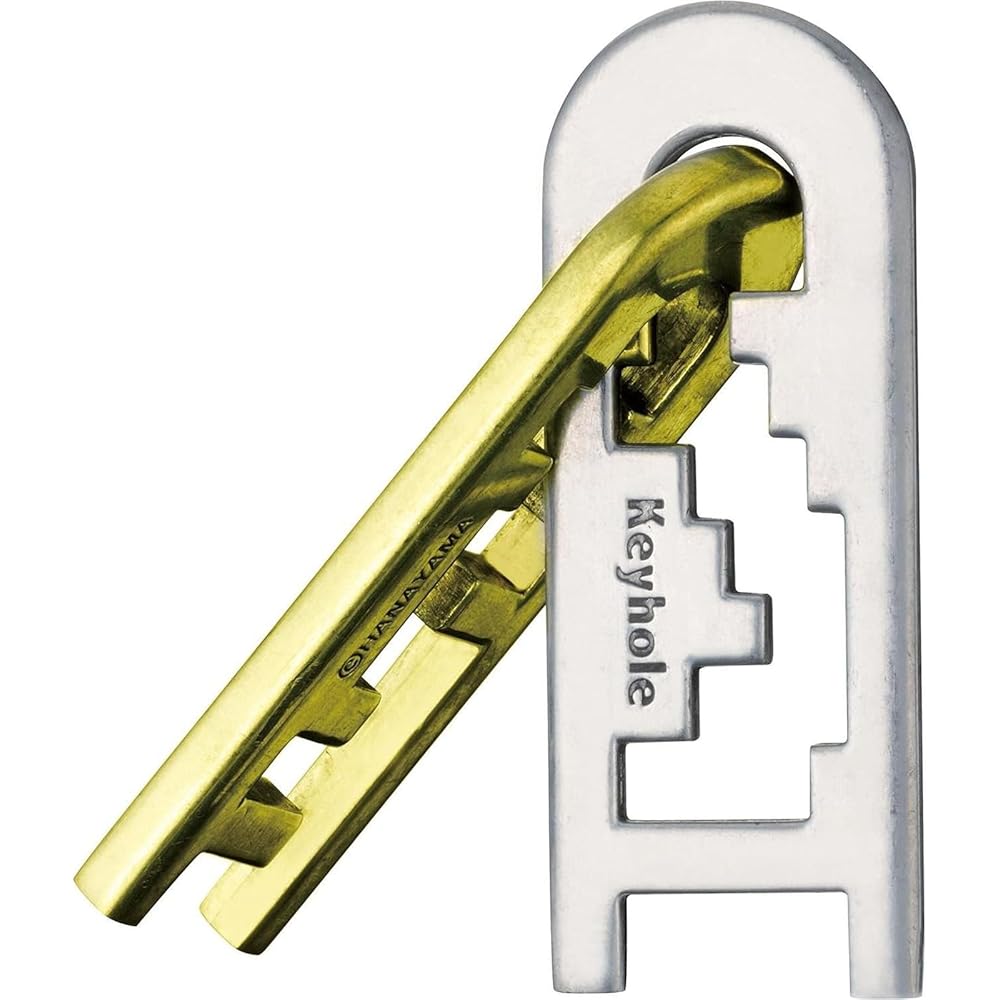 Hanayama Cast Keyhole Puzzle Level 4 Difficulty Brain Teaser Game