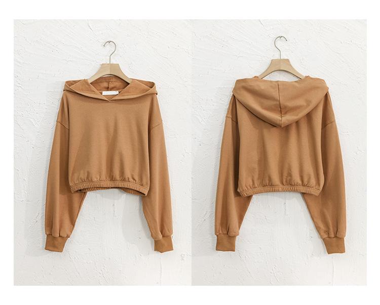 2024 Autumn/Winter Women's American Streetwear Pure Cotton Cropped Sweatshirt