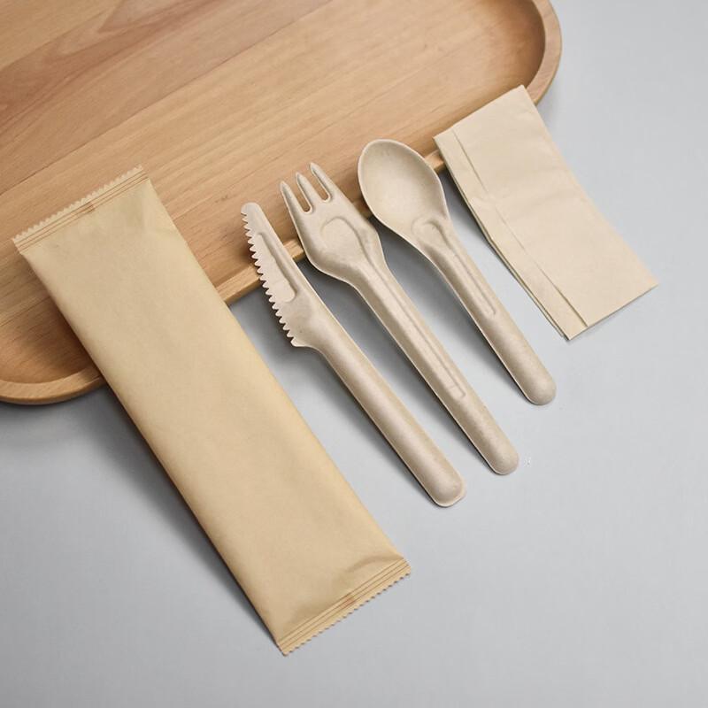 Biodegradable Disposable Pulp Cutlery Set