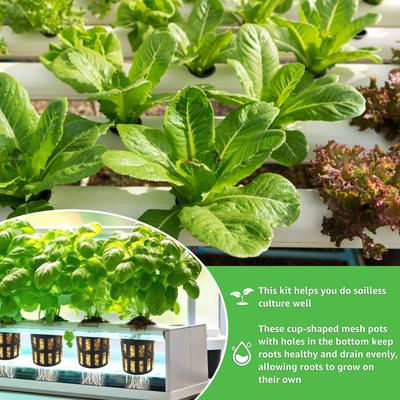 72Pcs Stonewool Hydroponic Grow Media Plant Cubes Soilless Substrate Plug Seedling Block for Hydroponics Growing System