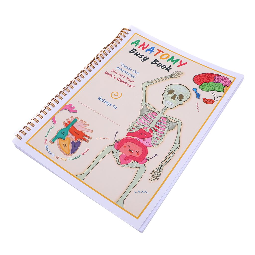 Human Body Anatomy Book for Toddlers Interactive Preschool Learning Human Body Anatomy Book