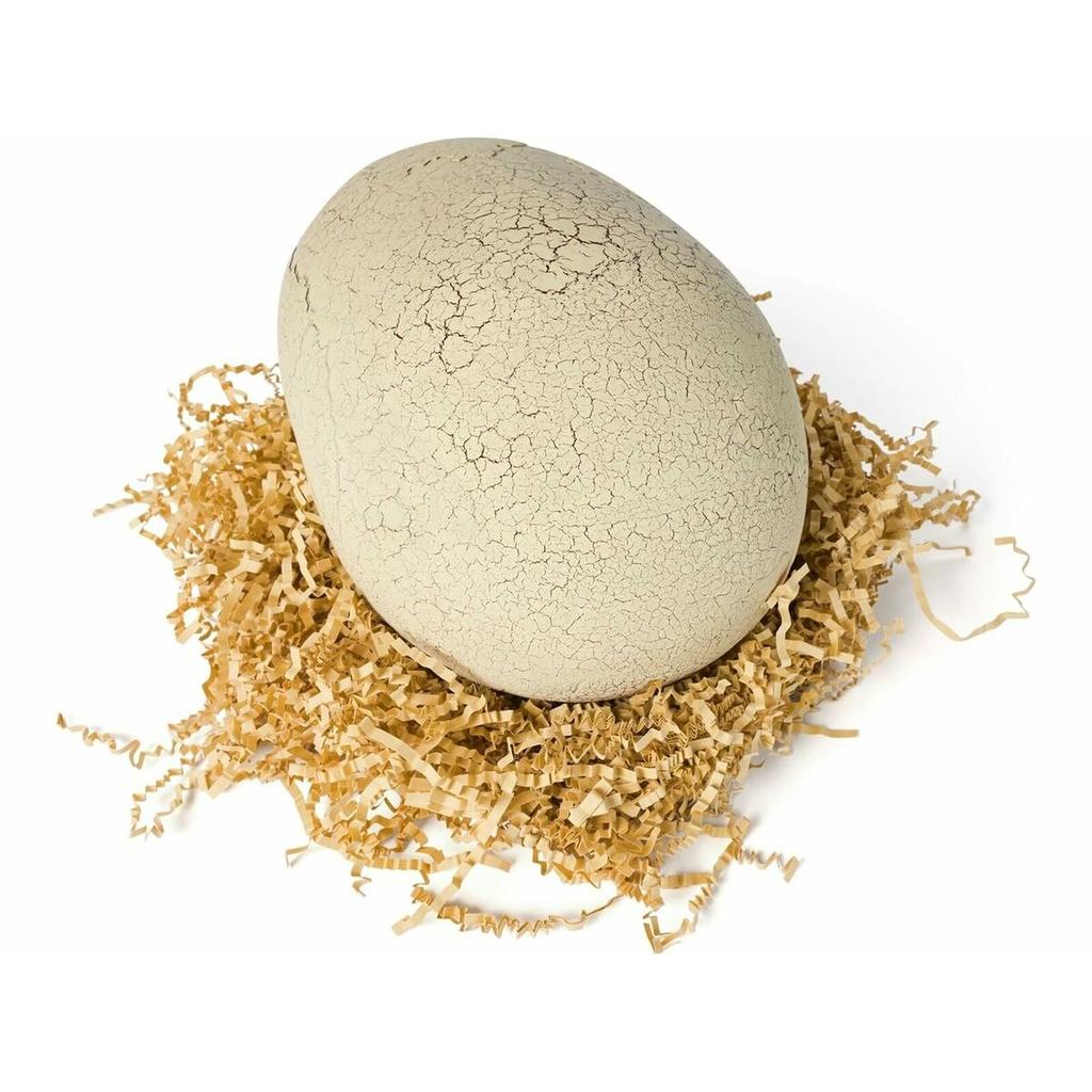 Dinosaur Jurassic World T-Rex 22 X 24 X 33 Cm