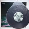 [USED] TWIG EP” MAD-009 10 inch