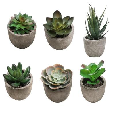 1/3/6 Stück Künstliche Sukkulenten Pflanzen Plastik Mini Künstlicher Bonsai Falsche Simulation Dekorative Kugel Pflanzen für Büro Heimdekor