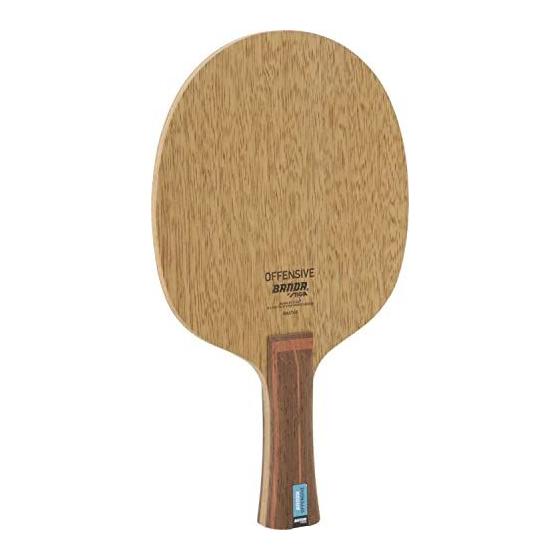 Used New STIGA Table Tennis Racket BANDA Offensive FLA GA302635