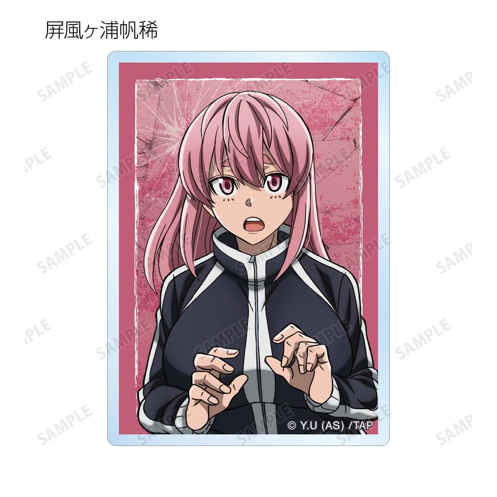 Togen Anki Trading Acrylic Cards Box of 11