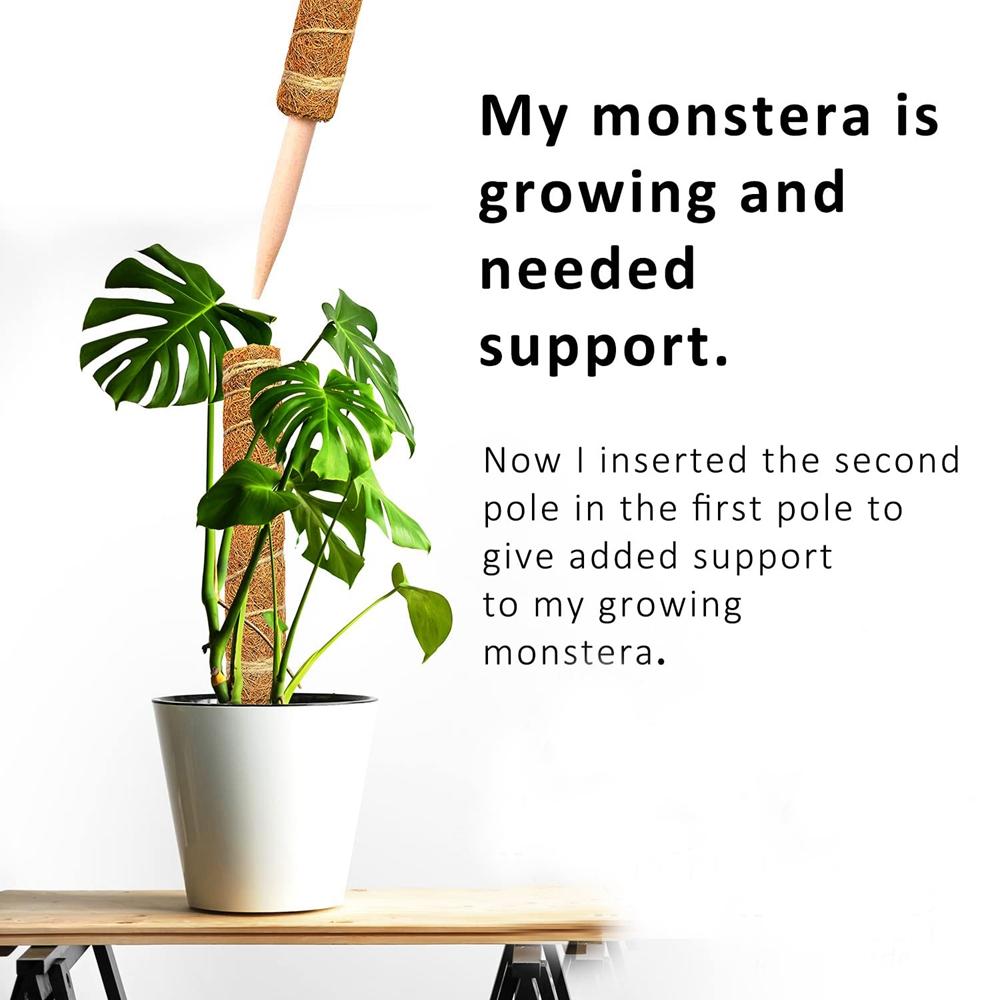 NEW 1PC Plant Climbing Coir Support Pole Potted Moss Stick Extendable Plant Support Monstera Creepers Vines Garden Supplies