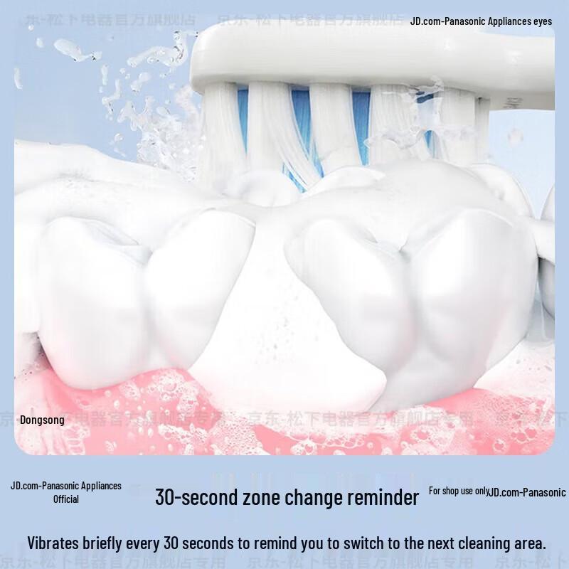 Panasonic DC20 Sonic Electric Toothbrush