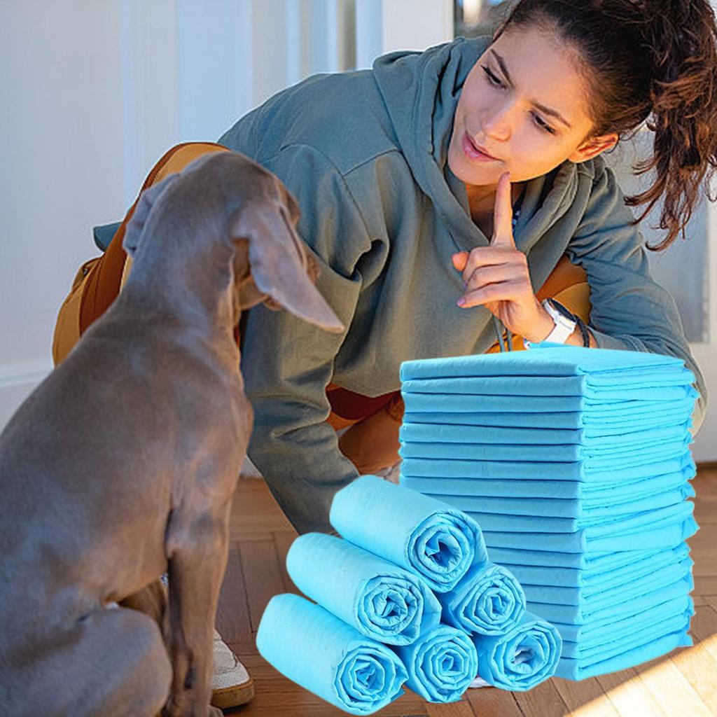 Dog Pads Potty Pads For Dogs 100-Count Leak-Proof Quick-Dry Surfaces Potty Training Housebreaking Pet Supplies For Indoor