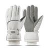 Winter Skiing Gloves Men Women Waterproof Windproof Thermal Touchscreen Cycling Outdoor Sports