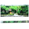 PVC Adhesive Seabed Small Fish Water Plants Aquarium Background Poster Sticker Fish   Decoration