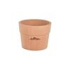 FORESTABLE Cup Holder M - Natural Wood (Beech) for Outdoor Camping - Insulated & Aesthetic - Includes 10 Paper Cups (265ml)
