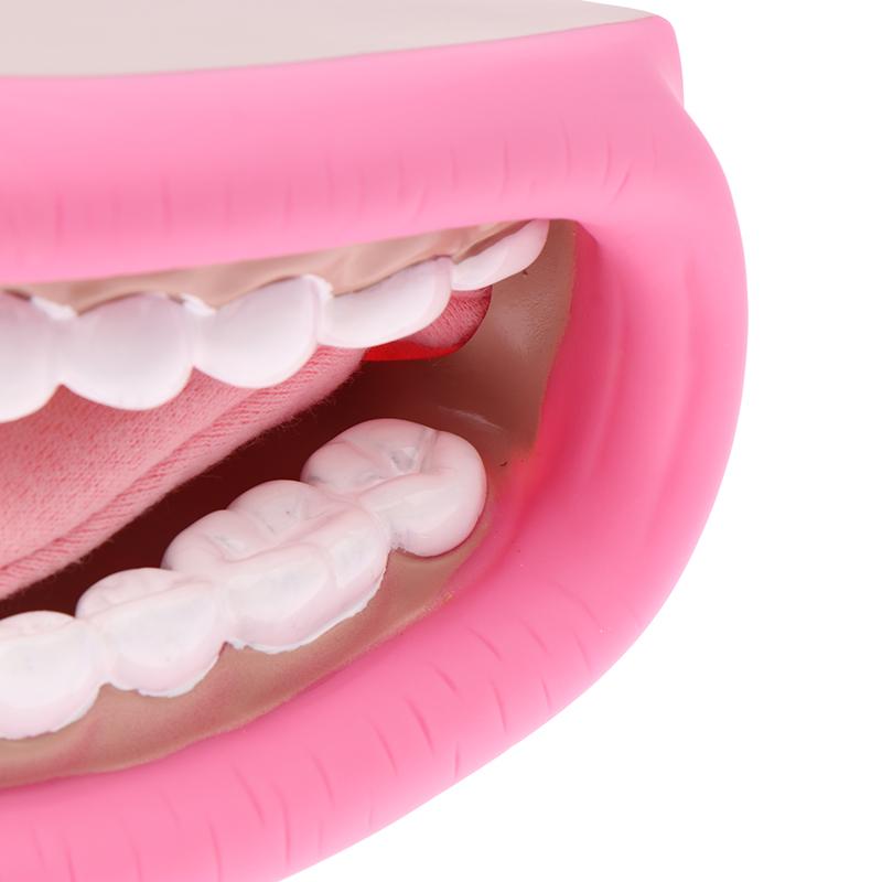 Kids Mouth Hand Puppet 28 Teeth Tongue Mouth Puppet For Speech Improvement Mouth Puppet For Speech Learning