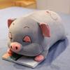 Pig Hamster Plush Pillow With Soft blanket Stuffed hand Warmer Stuffed Toys for Bedroom Cushion for Girlfriend