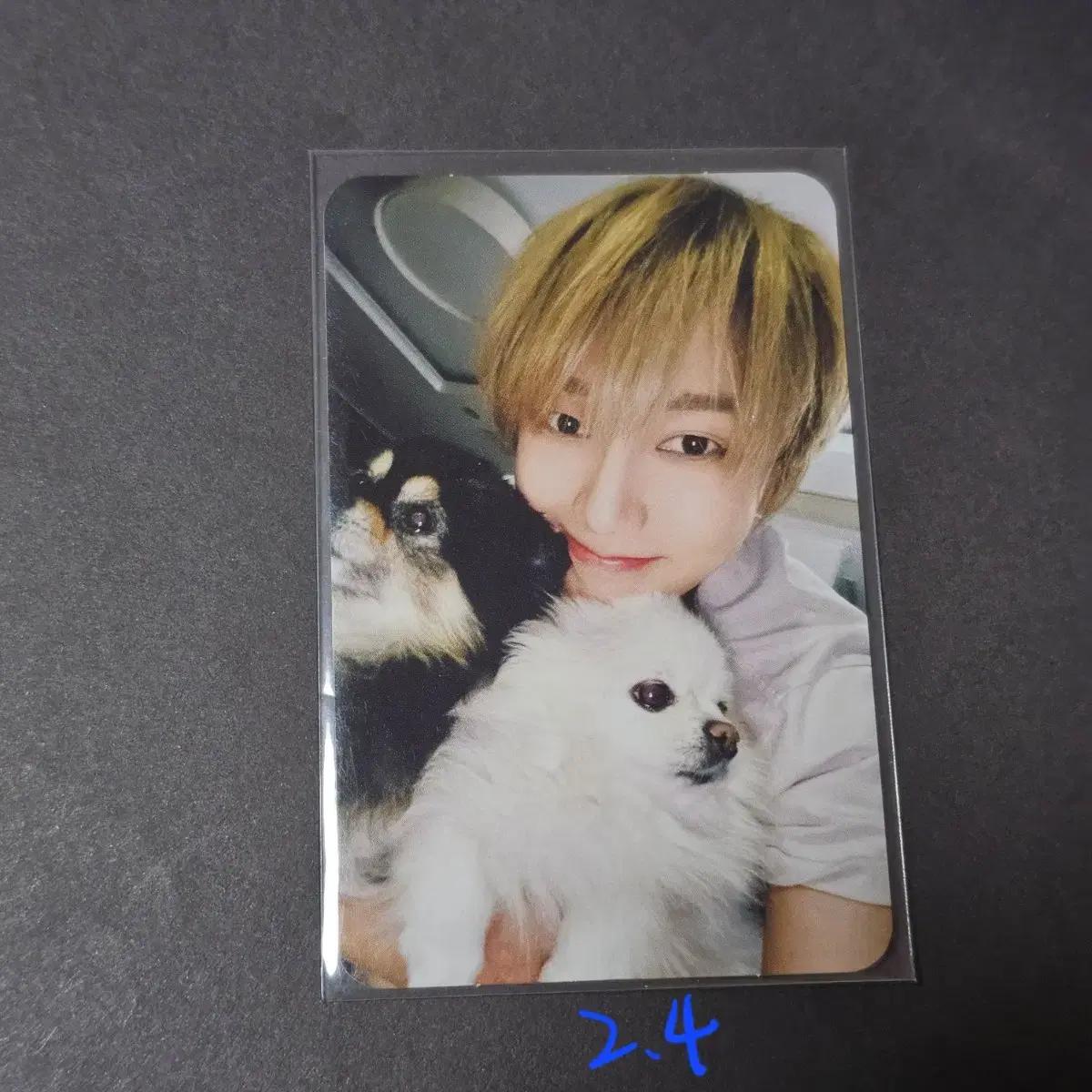 

Superjunior Super Junior Yesung Japan Album Pocamello Kid
