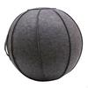 Ball Cover for Home, Office, Pilates, Yoga, Fitness, with Handle