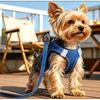 Denim-Stil Step-in Hundegeschirr und Leinen-Set
