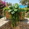 Real Touch Artificial Persian Fern Leafs UV Resistant Fake Trailing Greenery  Outdoor Garden