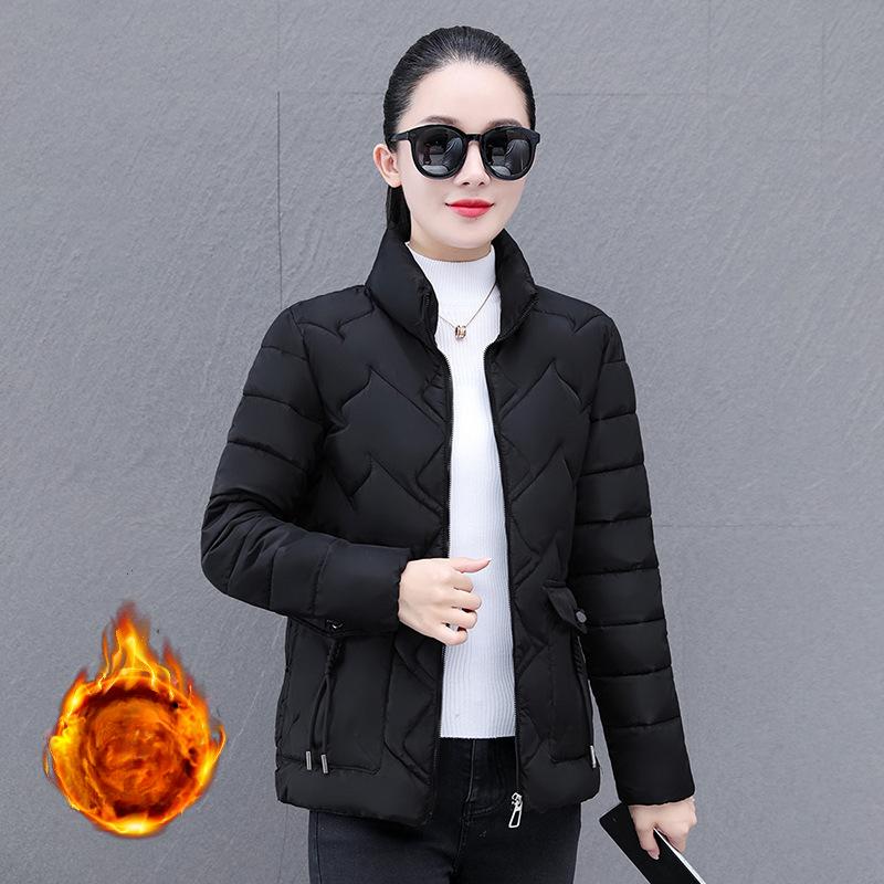 Women's Autumn and Winter Parkas – Short Coats, Zippered Stand-Collar Jackets, Full-Sleeve Thick Warm Outerwe