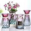 Nordic Transparent Glass Vase for Hydroponic or Dried Flowers – Ideal for Living Room Decor.