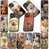 Soft Cover for Samsung Galaxy S25 S24 S23 FE Plus Ultra S7 Edge A16 A15 5G S25+ Coque Phone Case Golden Retriever Dog