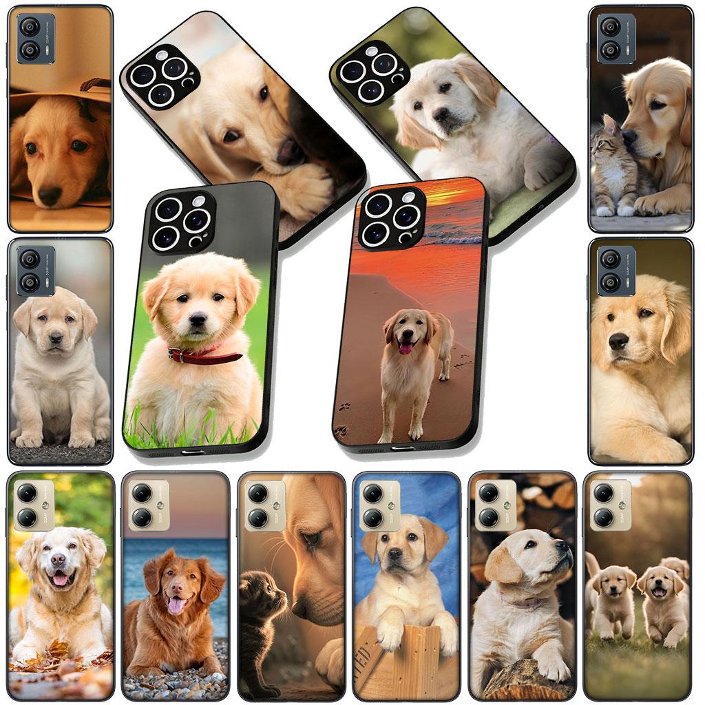 Soft Cover for Samsung Galaxy S25 S24 S23 FE Plus Ultra S7 Edge A16 A15 5G S25+ Coque Phone Case Golden Retriever Dog