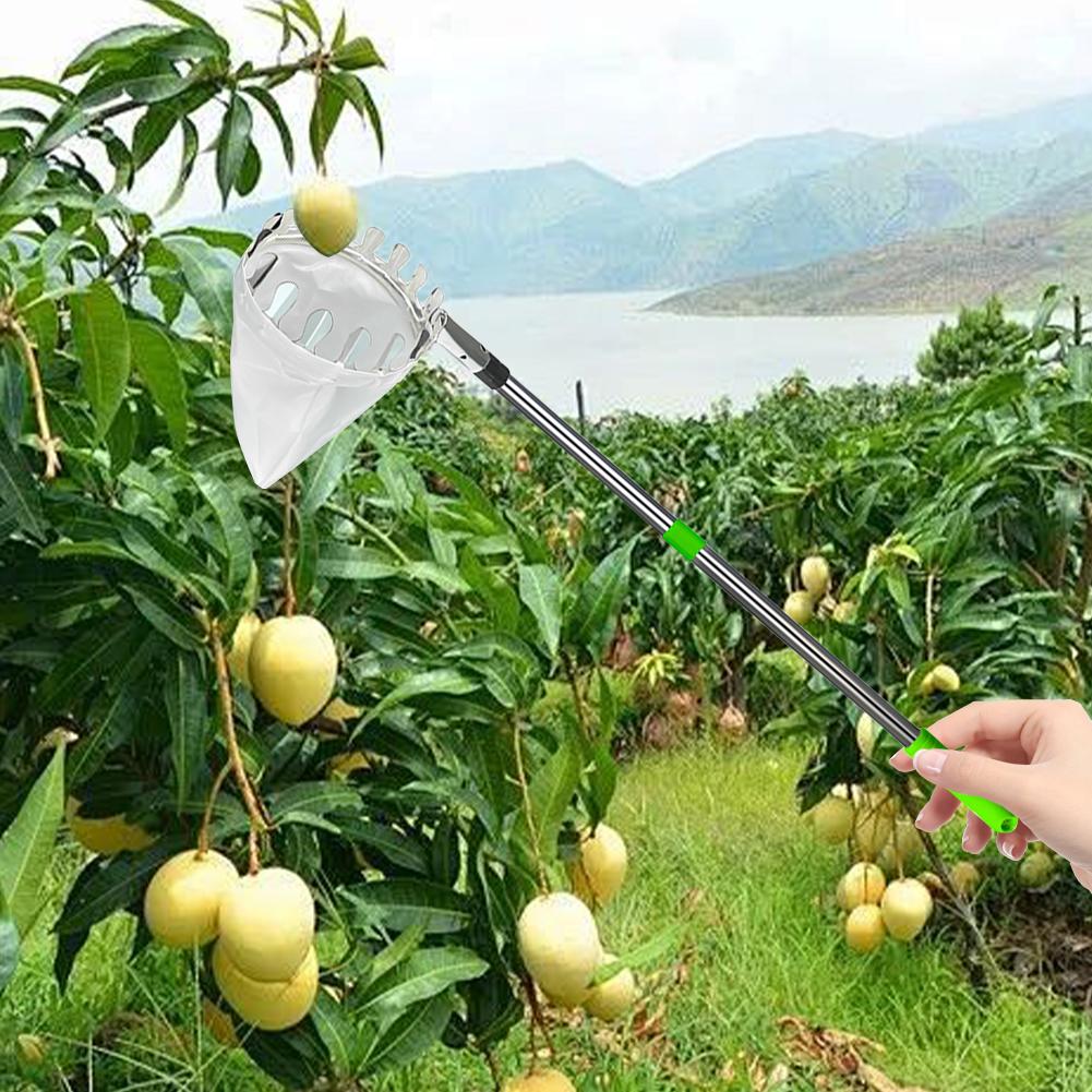 Fruit Picker Pole with Storage Bag Stainless Steel Pole Fruits Picker Tool Tree Picker Tree Picker for Apples Mango Lemon Orange