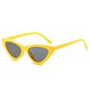 Vintage Triangle Cat's Eye Sunglasses Women's Brand Designer Fashion Sun Glasses Lady Outdoor Hip-hop Eyewear UV400