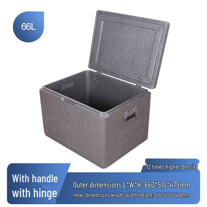 Chengzhi Food Grade EPP Insulation Cooler Box