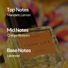IZZATH Lush Life Eau De Parfum 50ml | Luxury Women’s Perfume with Mandarin, Lemon, Orange Blossom & Lavender |