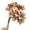 Artificial Butterfly Orchid Branch with Real Touch Fake Flower Hotel Decoration Silicone Cotton Phalaenopsis Simulation Flowers