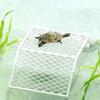 Reptile Basking Platform Turtle Dock Climbing Platform for Turtles Lizard Bearded Dragon Tank Habitat Anti-Slip Resting Platform
