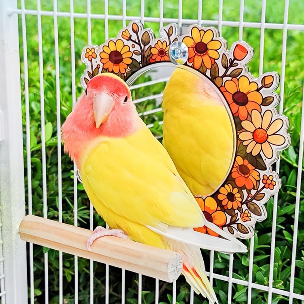 Parakeets Perch Birdcage Mirror Toy for Parrots Birdcage Playstand for Cockatiels Budgies Standing Perch Bird Cage Toy