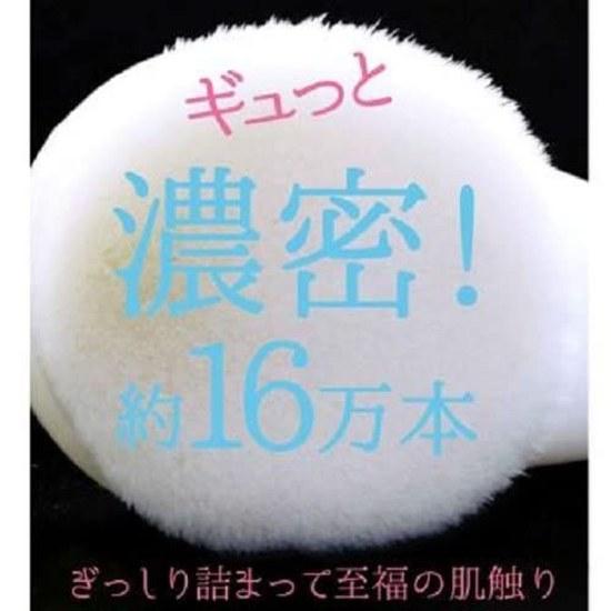 NYF-800 Cleansing Brush