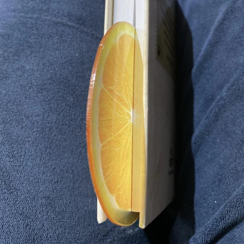 Marque-page en acrylique en forme de fruit Pomme Raisin Simulation Marque-page de lecture transparent Papeterie d'apprentissage Jouet pour enfants Cadeau