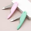 Mini Vogel Faltbare Nagelfeile Gewaschen Und Poliert Maniküre Zweiseitiges Material Abs Doppelkunststoff Nagel I7K5